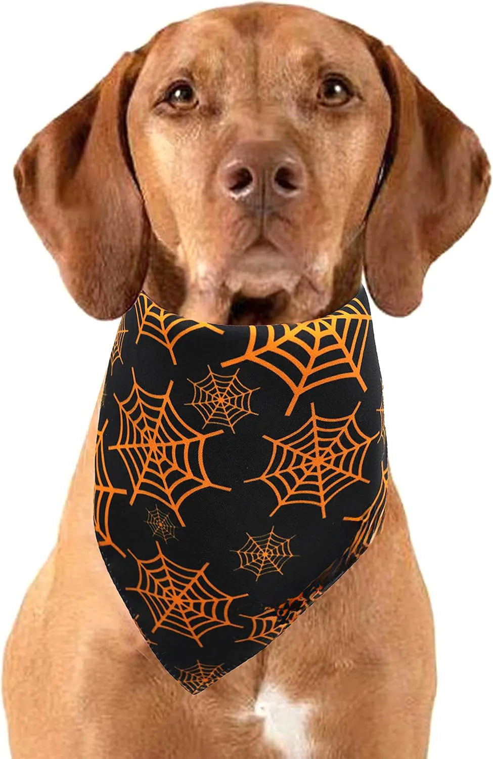 Halloween dog bandana showing reversible pumpkin and spider web patterns with adjustable neck closure