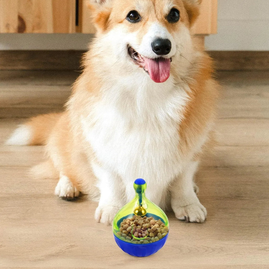 Interactive pet treat dispenser tumbler toy for dogs and cats showing rolling ball design