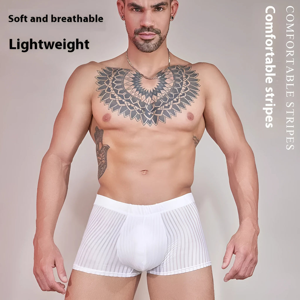 Men's striped nylon underwear in thin transparent fabric, black dark grey white colours