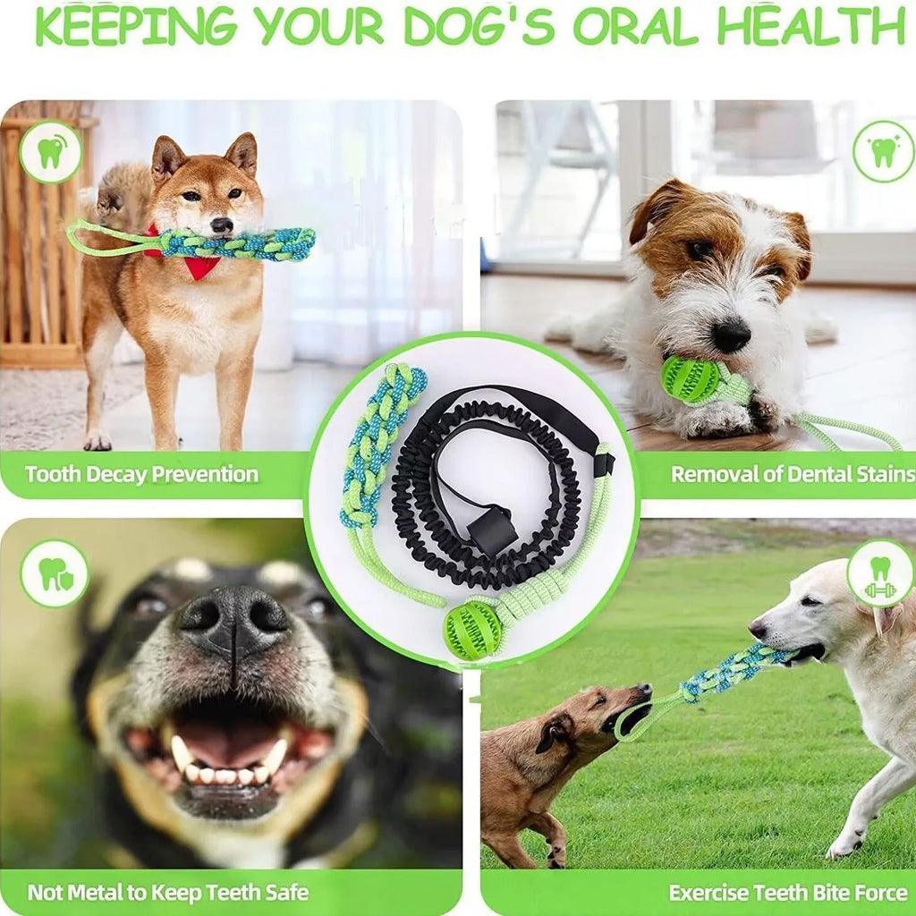 Green cotton tug rope dog toy with knotted construction for interactive play