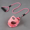 Blue nylon dog leash with foam handle and adjustable collar set on a white background.