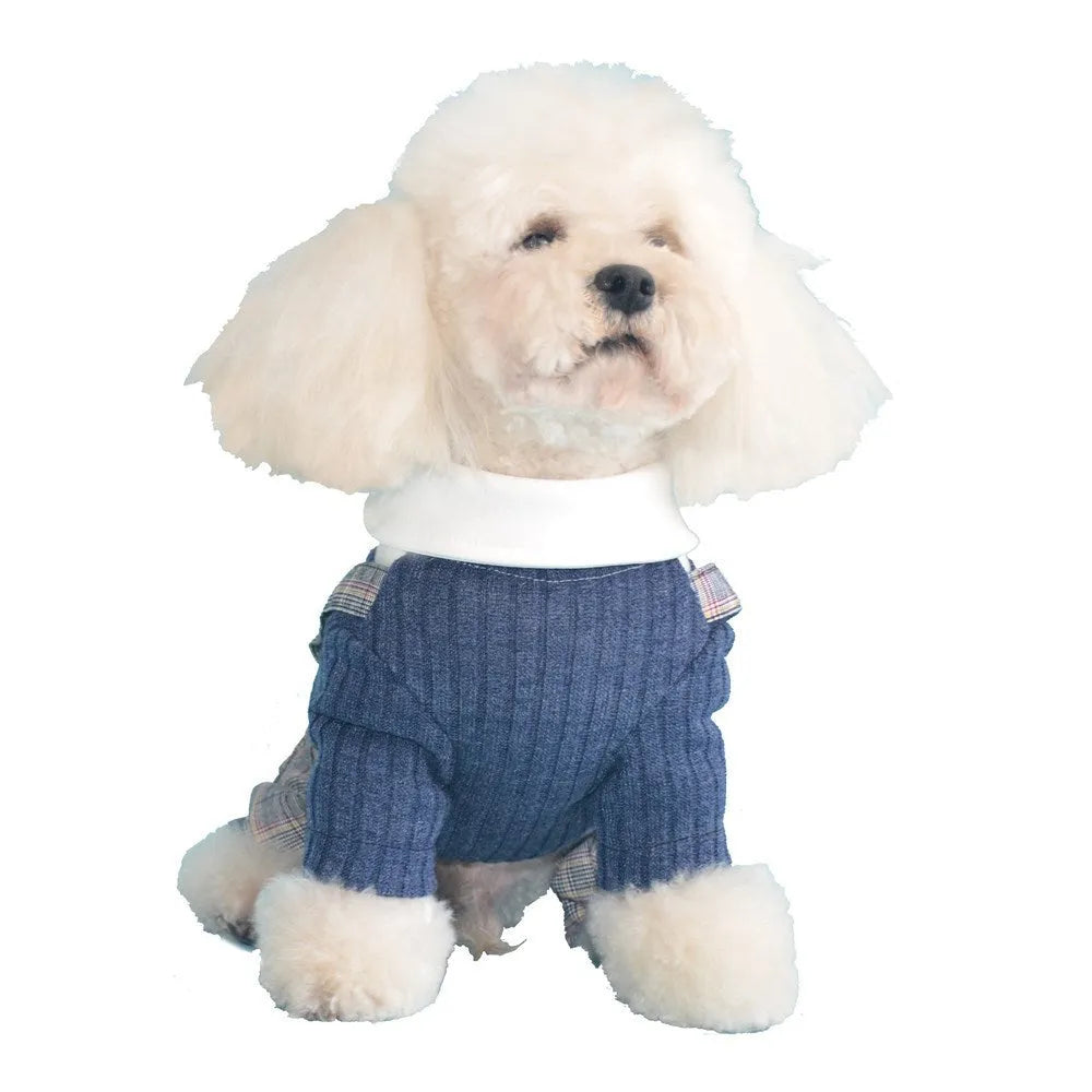 Dog wearing cotton shirt in orange or dark blue with collar and button design