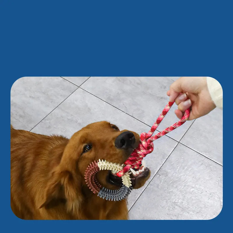 Blue braided rope pet toy with knot design measuring 43cm long for bite-resistant puppy entertainment