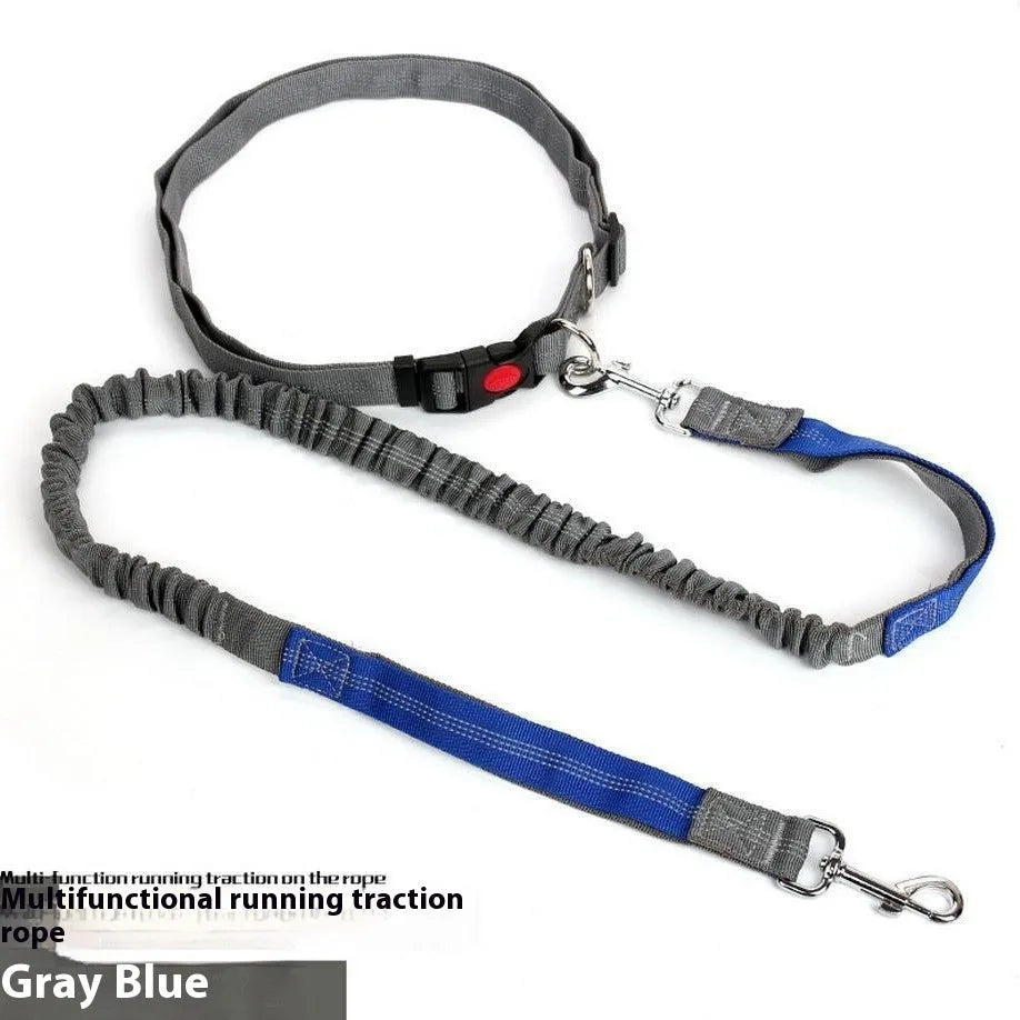 Grey and green two-tone reflective nylon dog leash showing 2.5cm width and clasp.