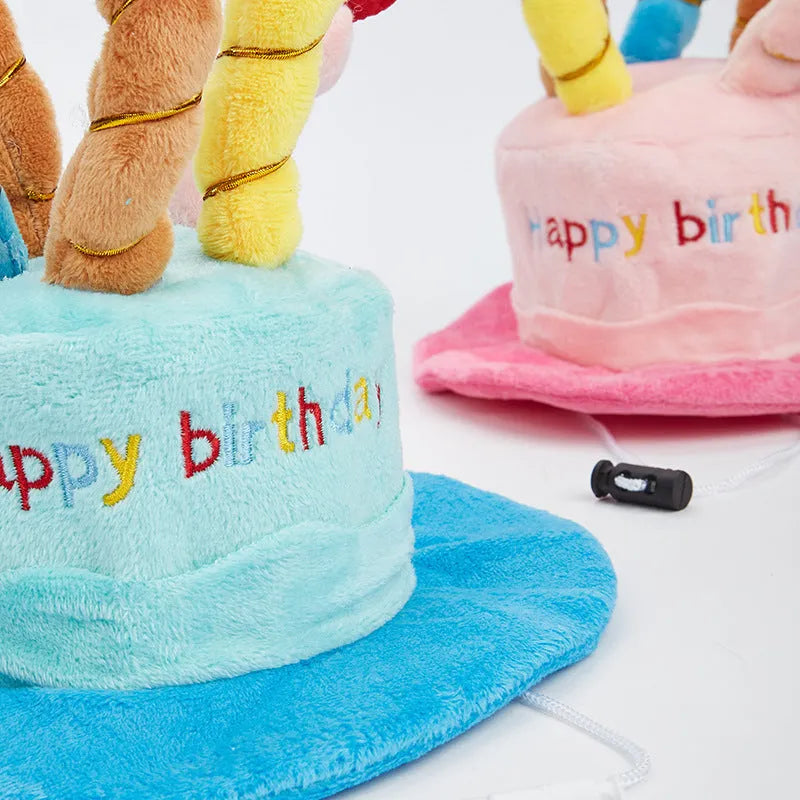 Small dog wearing removable blue birthday hat accessory for canine celebrations