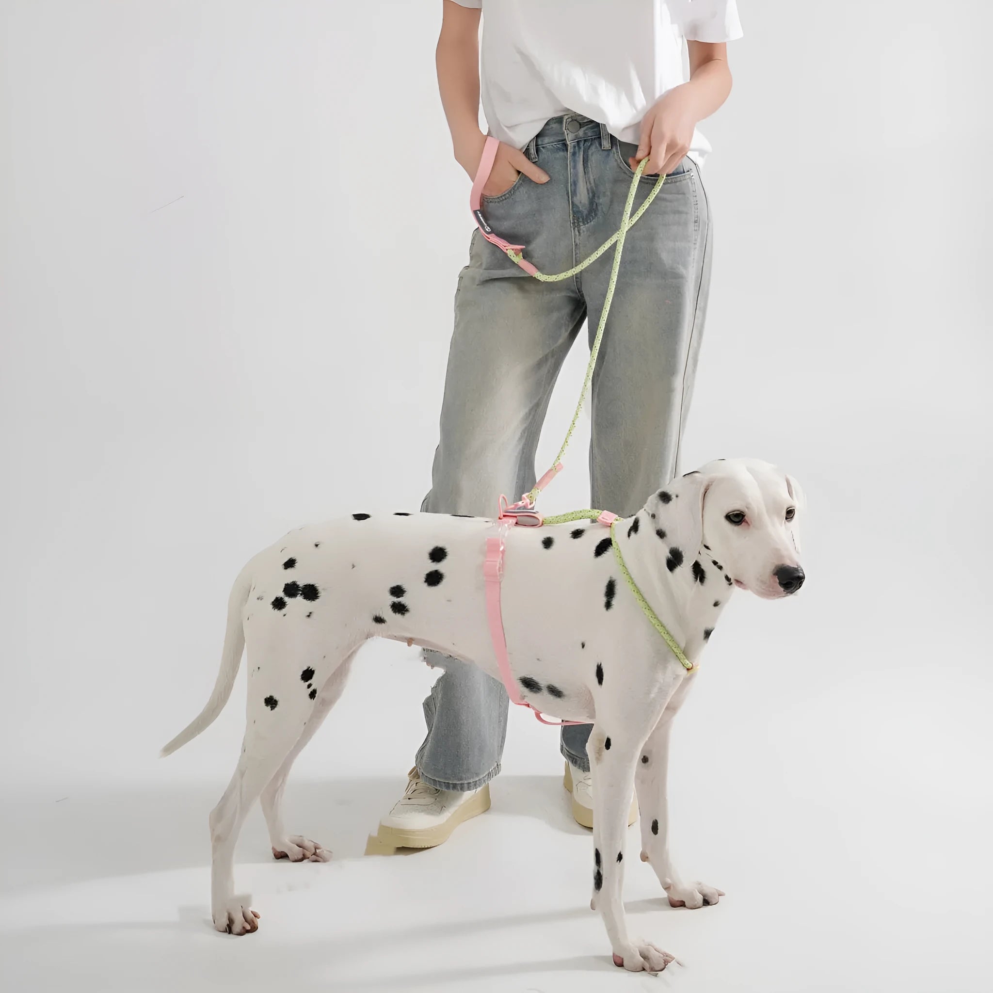 Solid colour PVC dog hand holding rope leash in dark red purple yellow or taoyao green, 120cm long.