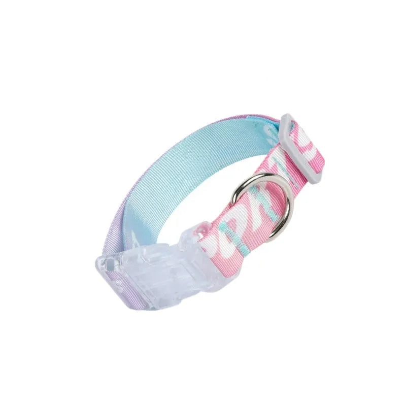 Adjustable nylon dog collar with cartoon gradient printing pattern in two colour variants