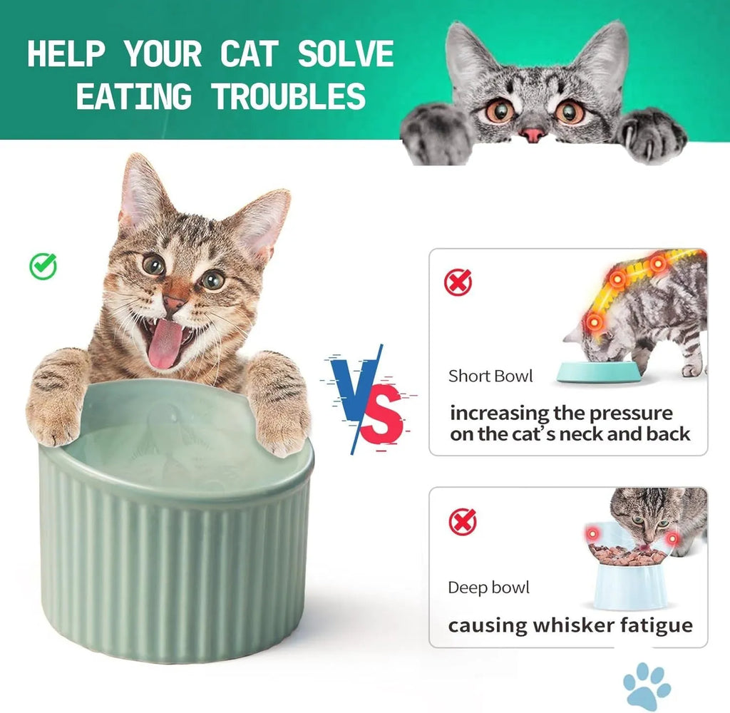 Dark green ceramic elevated cat bowl with tilted, round whisker-friendly design on a wooden floor.