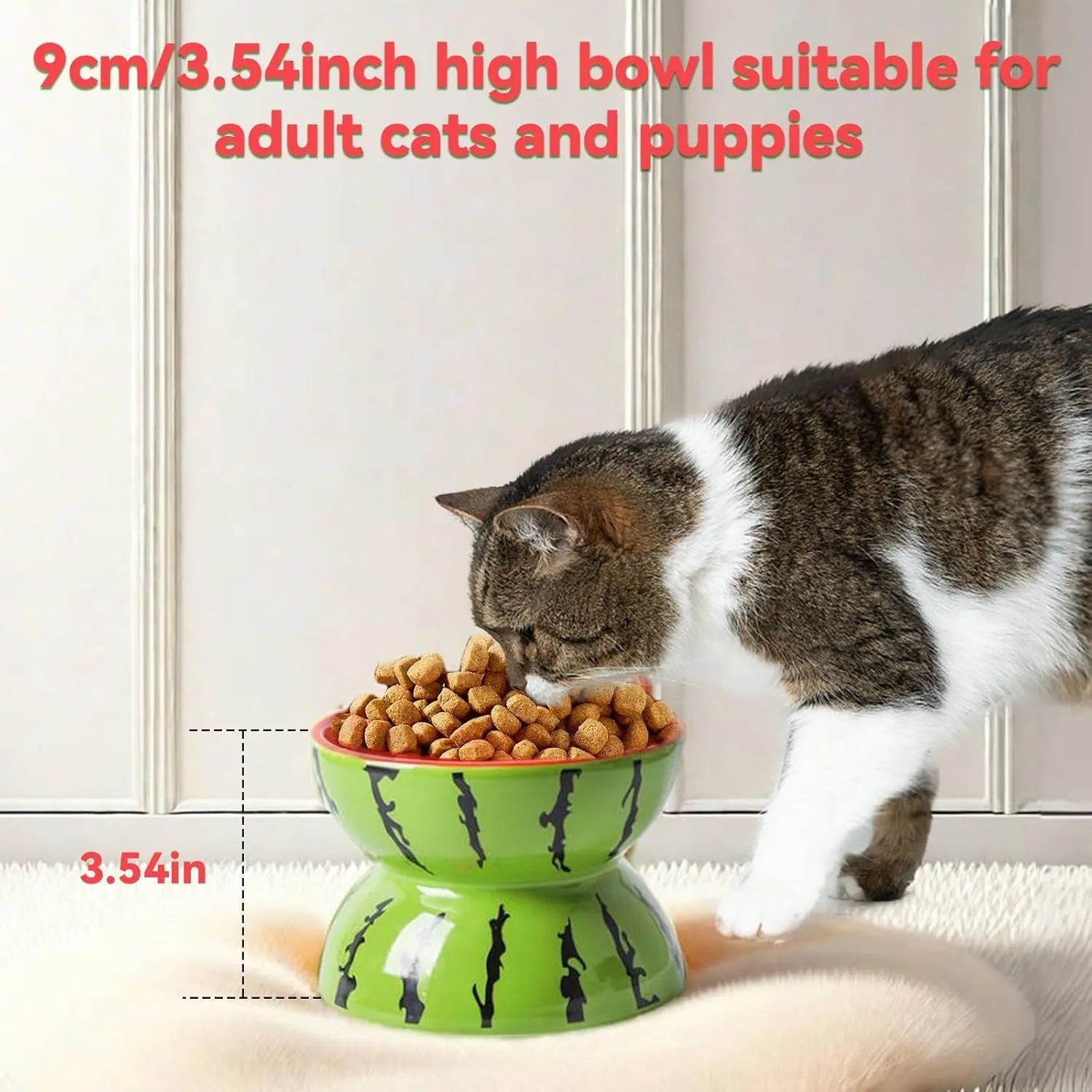 Ceramic raised cat bowl with tilted design in orange, pitaya, or watermelon colour options
