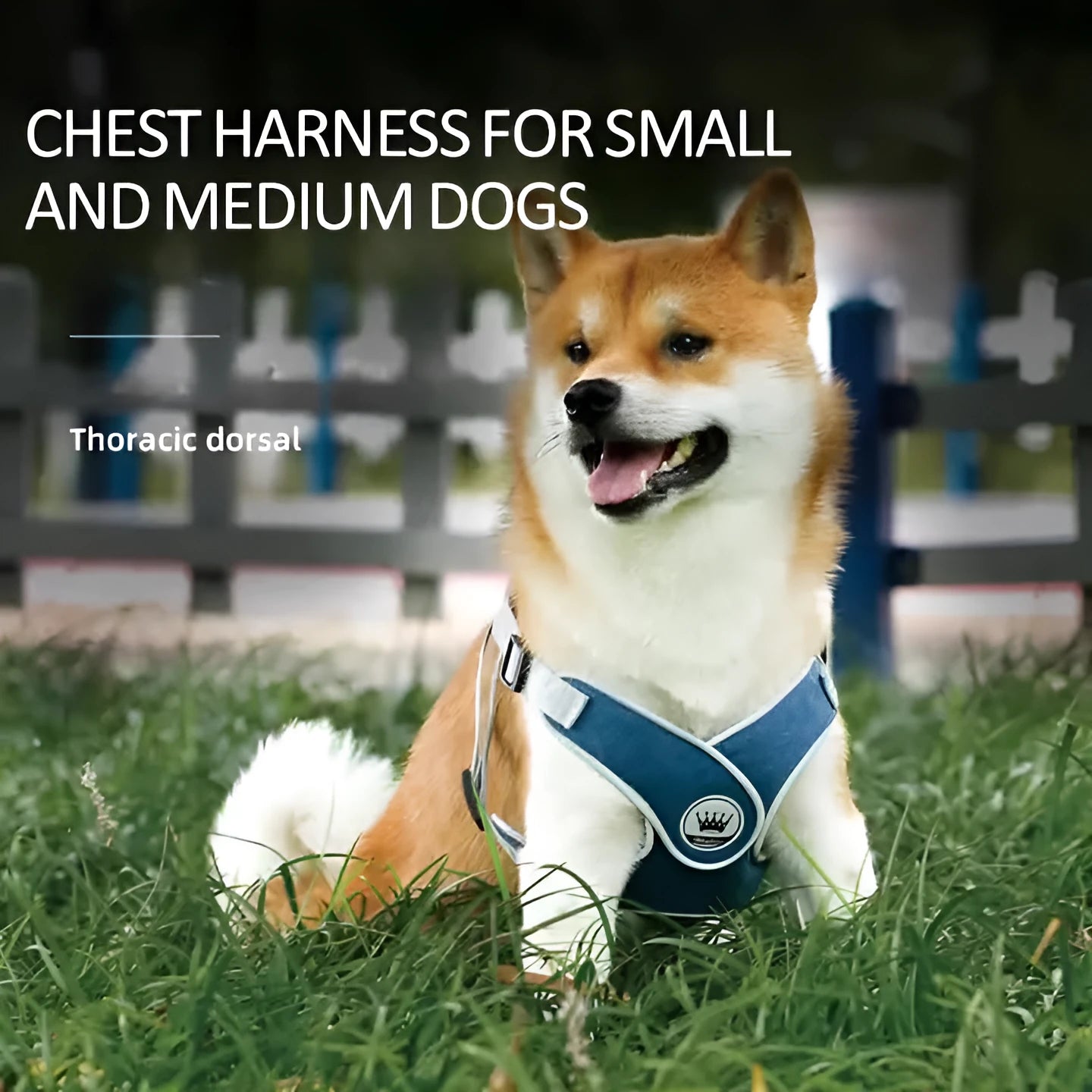 Green adjustable mesh dog harness with reflective strips and a metal leash ring, shown on a dog.