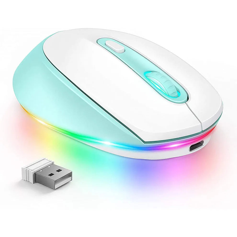 24g wireless ergonomic mouse with USB charging cable in multiple colour options