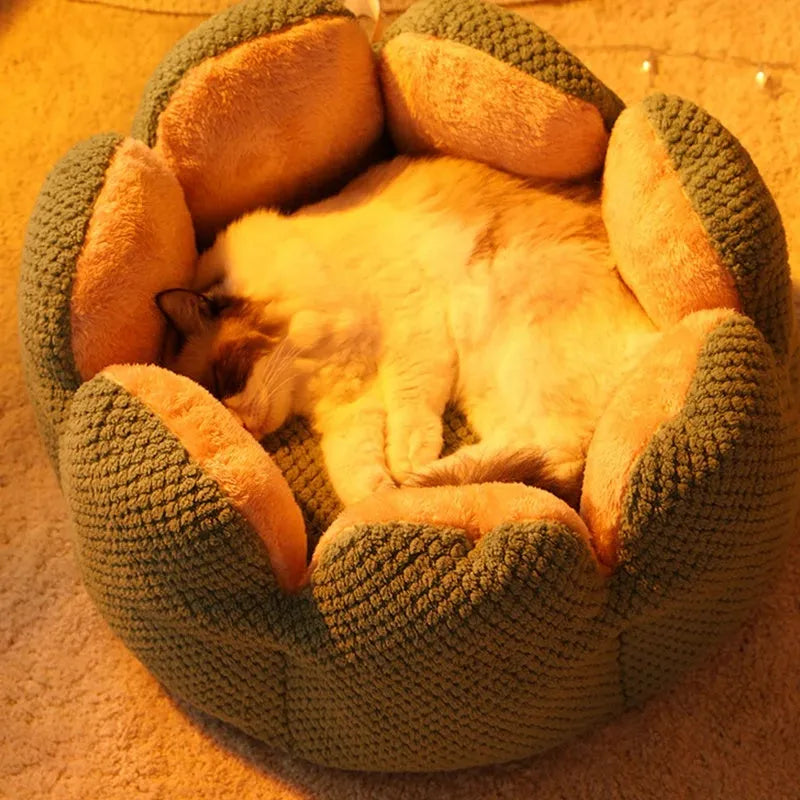 Green cactus petal shaped pet bed with non-slip bottom for cats and small dogs