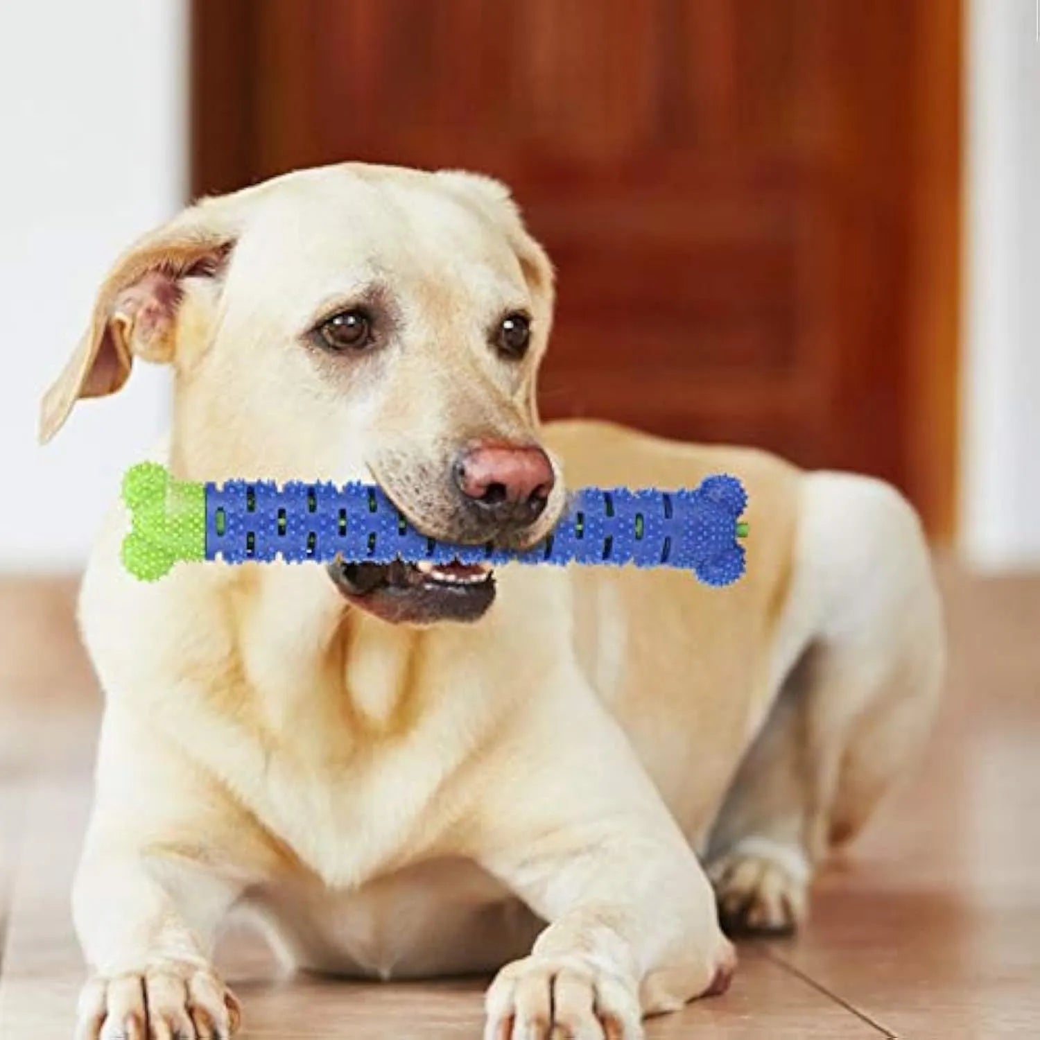 Blue green dog molar tooth cleaner with silicone brush head and massage nodules, 25cm long