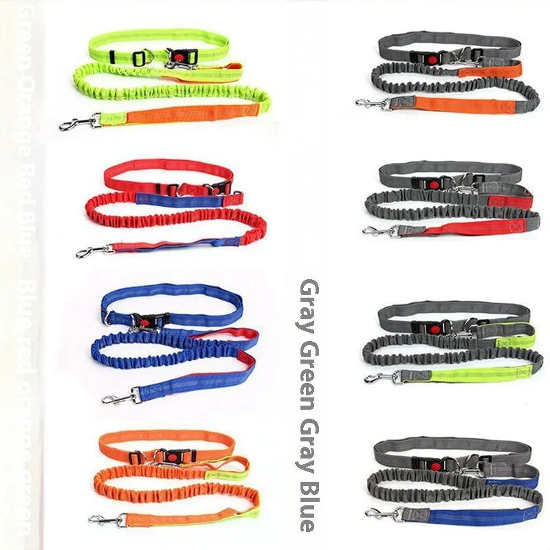Grey and green two-tone reflective nylon dog leash showing 2.5cm width and clasp.