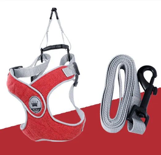 Green adjustable mesh dog harness with reflective strips and a metal leash ring, shown on a dog.