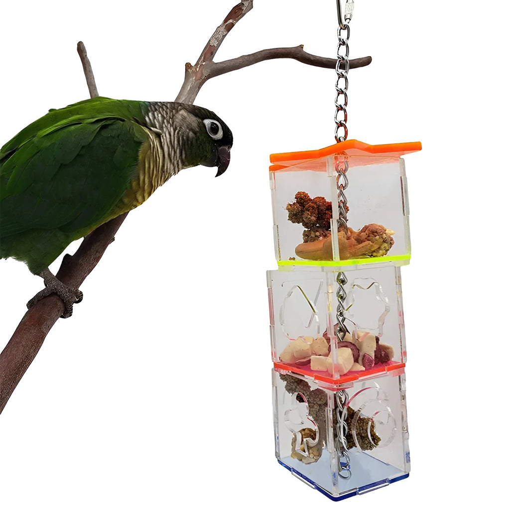 Clear acrylic parrot foraging toy for holding nuts and fruit, measuring 5x5x32 cm