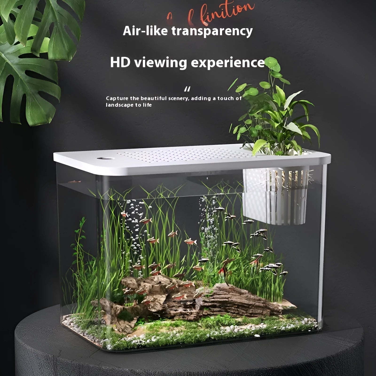 Ecological betta fish tank with transparent cover in black or white plastic construction