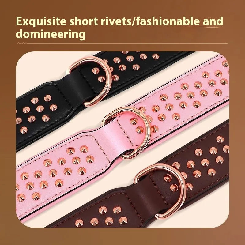 Leather dog collar with brass anti-bite rivets in black, shown with metal buckle.
