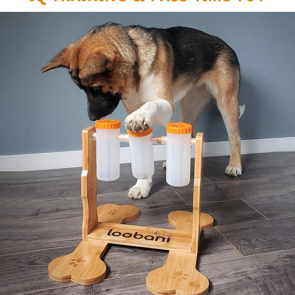 Wooden dog puzzle toy and interactive feeder in natural wood colour, dimensions 31x30x20cm.