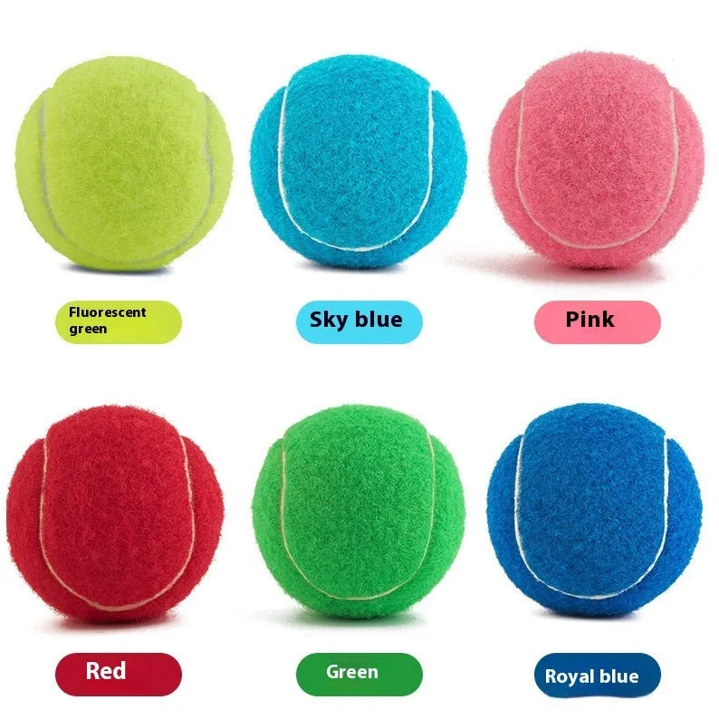 6.3cm bite-resistant rubber tennis ball dog toy in multiple colour options