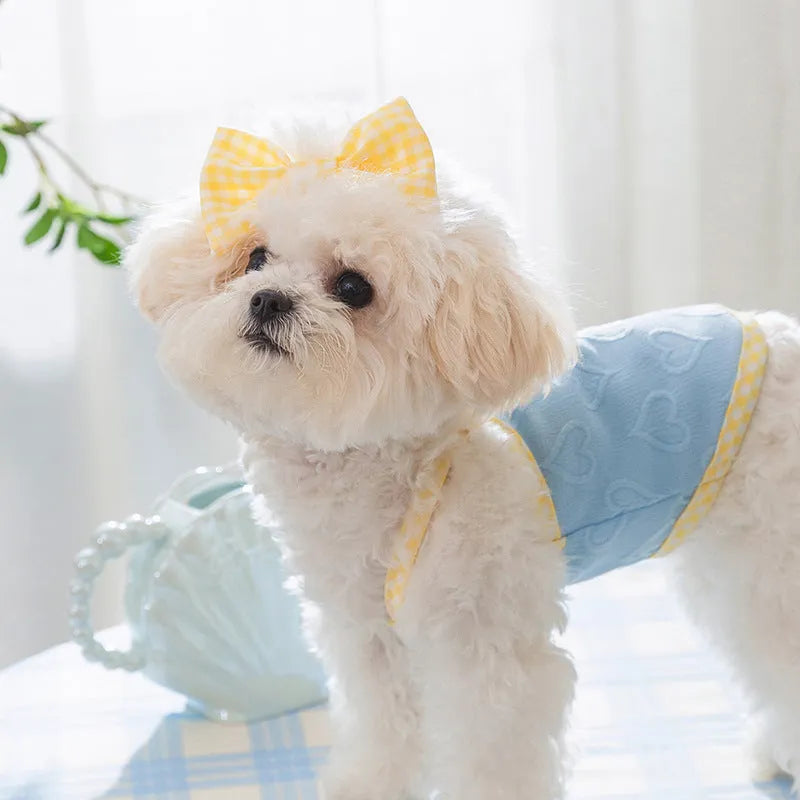 Small dog wearing heart bow suspenders vest in blue with elastic sides