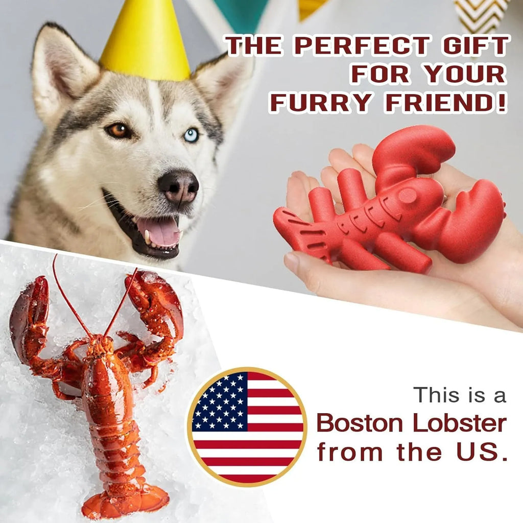 Large red nylon dog chew bone toy for aggressive chewing by big dogs.