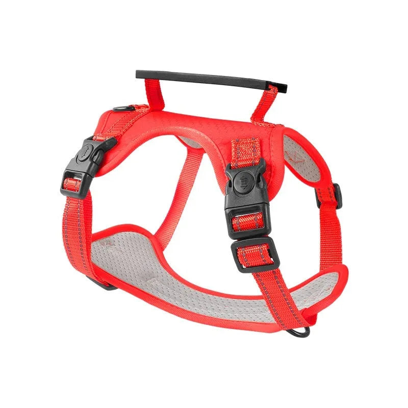 A dog harness and lead set in a choice of six colours, made from durable polyester with an adjustable chest strap.