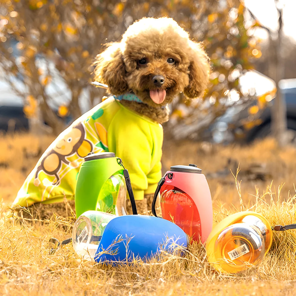 Portable pet water bottle with 680ml capacity showing key lock and wide drinking sink