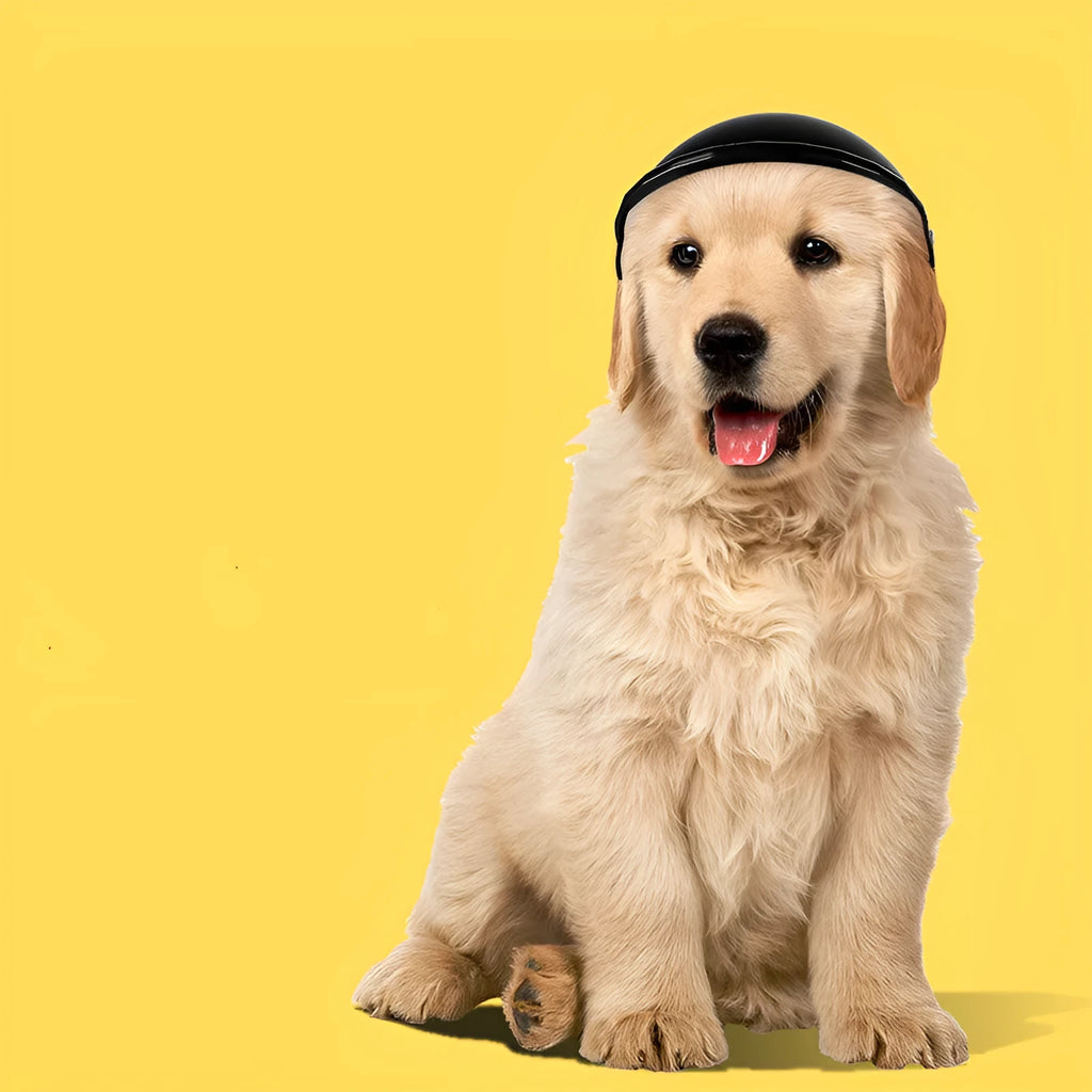 Small size S plastic pet safety helmet in pink, black, yellow or green colours for motorcycle use