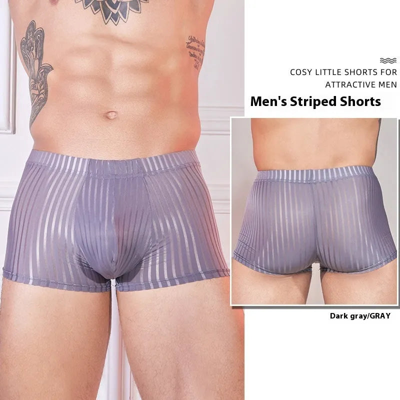 Men's striped nylon underwear in thin transparent fabric, black dark grey white colours