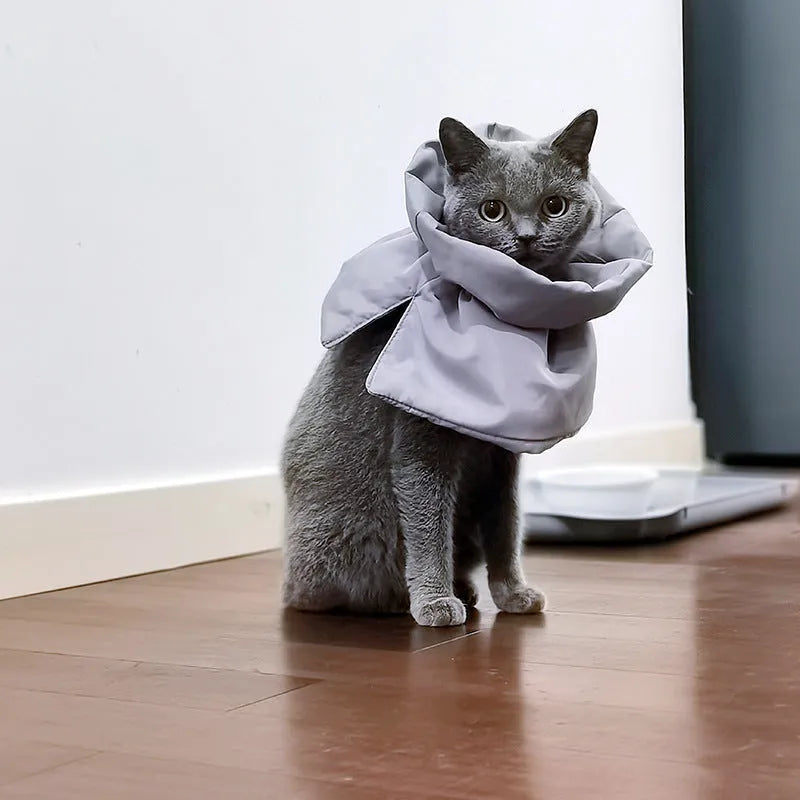 Adjustable soft cat recovery cone collar in blue with elastic buckle for post-surgery protection