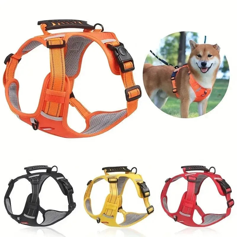 A dog harness and lead set in a choice of six colours, made from durable polyester with an adjustable chest strap.