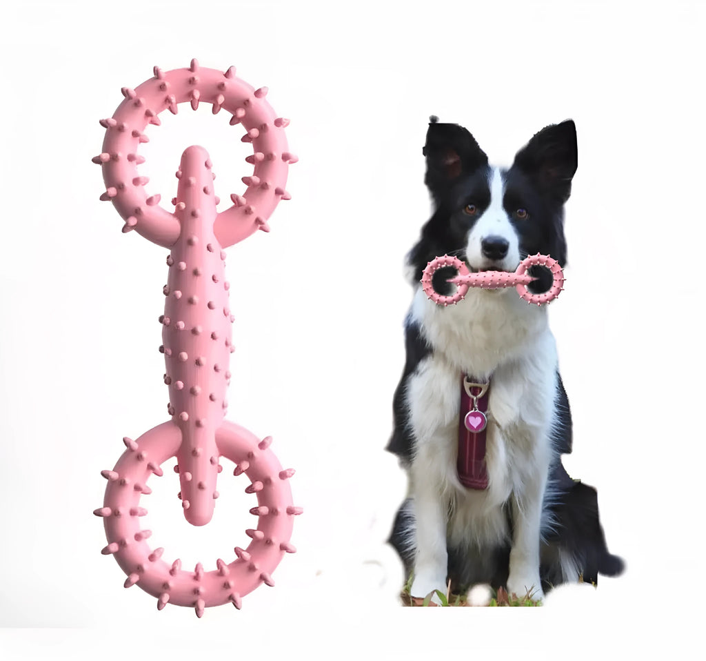 Blue TPR dog chew ring toy for puppies and dogs measuring 16cm