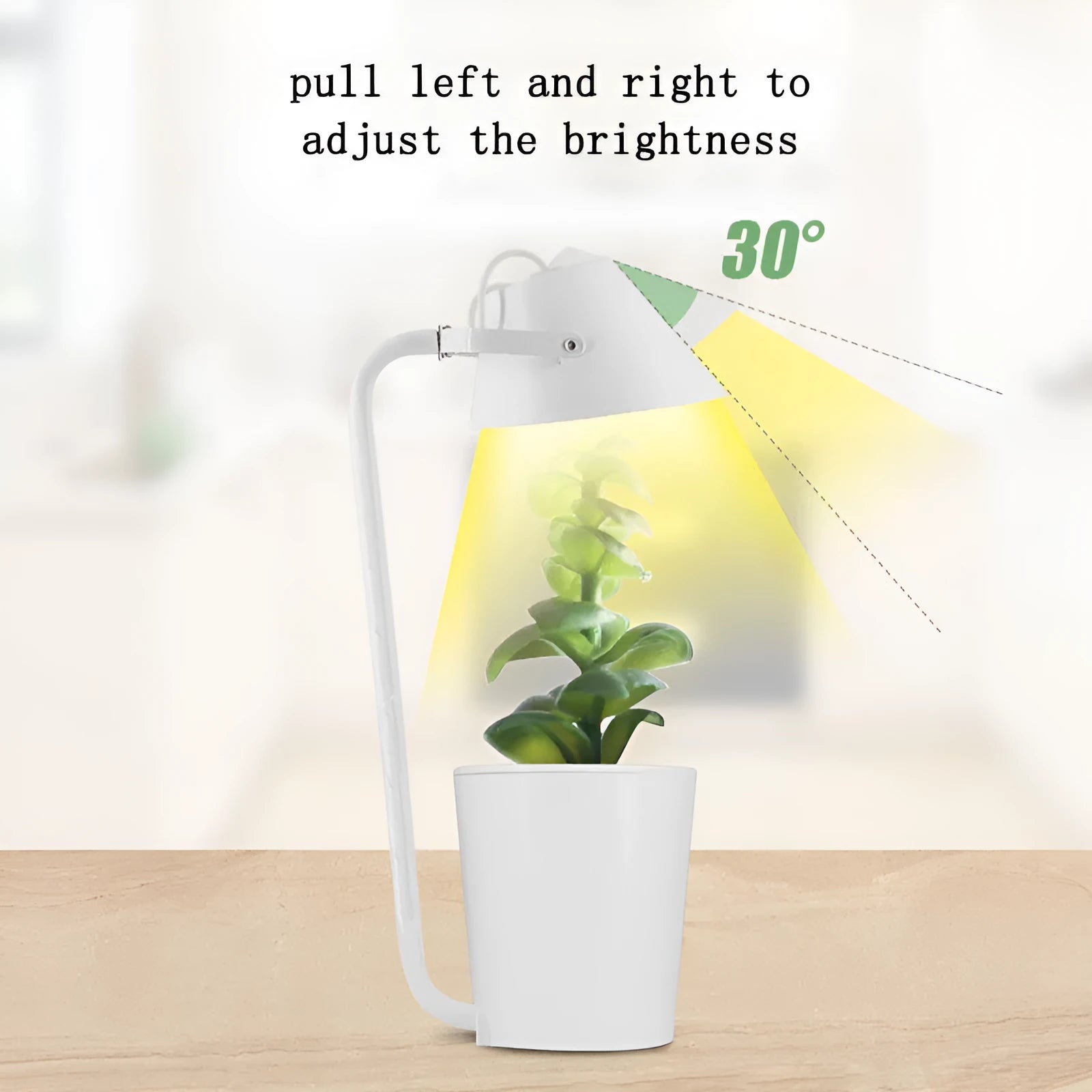 White plastic desktop hydroponic container for soilless plant cultivation with multiple plug standards