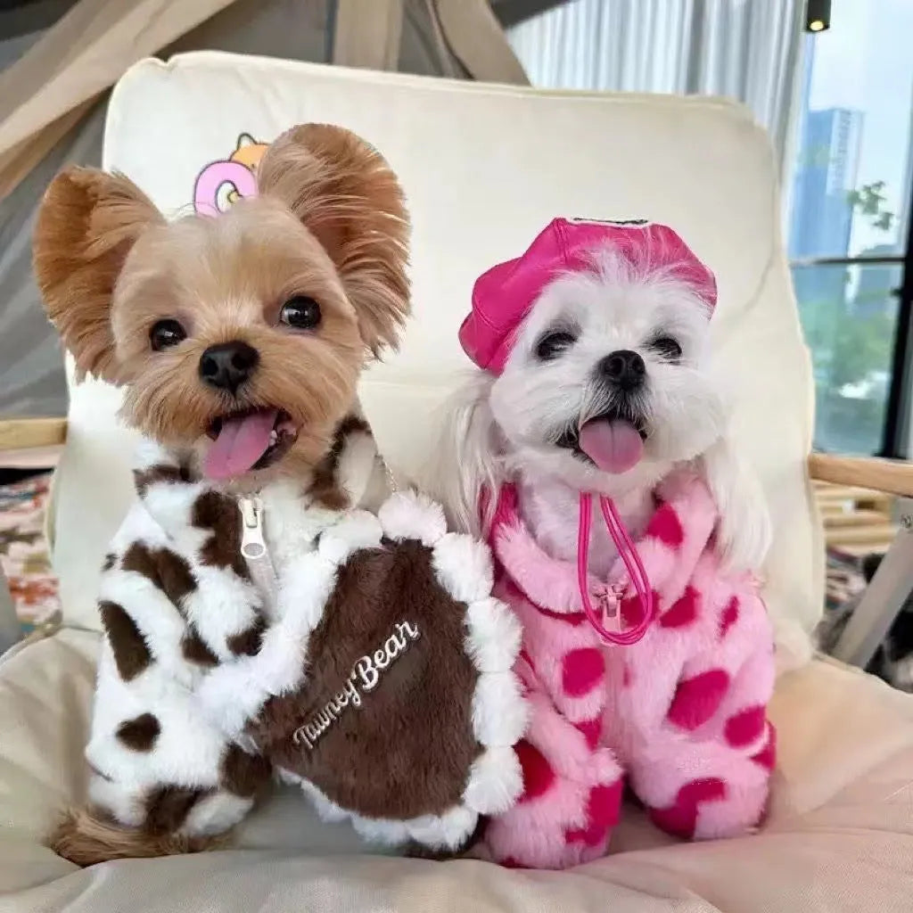 Pink British style polyester warm coat with ruffled collar on small Bichon dog