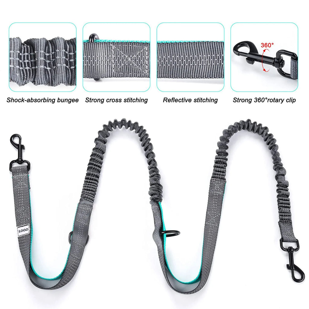 Black outdoor pet training waist bag set with telescopic leash and collar for dog walking
