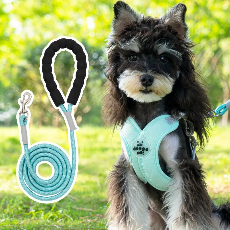Blue polyester dog walking vest and leash set shown on a small dog