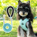 Blue polyester dog walking vest and leash set shown on a small dog