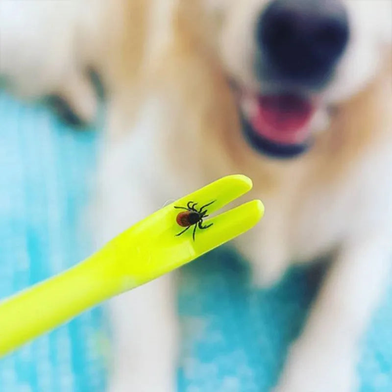 Set of three blue or green plastic pet tick and flea removal clips with hook design.