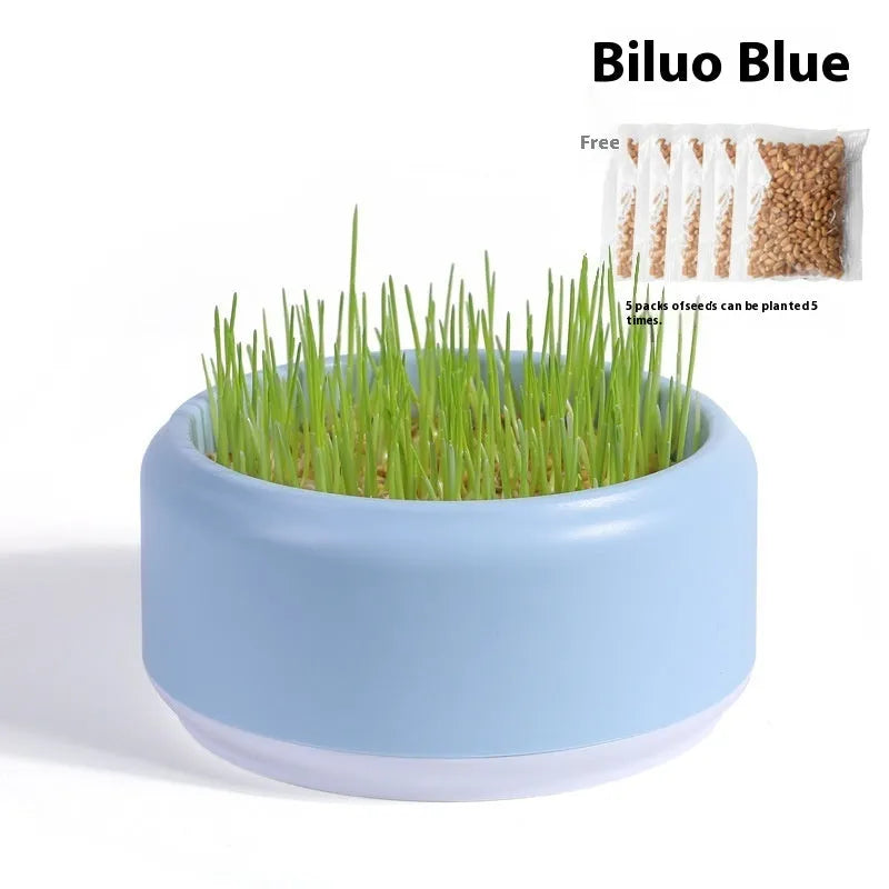 Hydroponic cat grass kit with plastic cup and five seed packets on a table