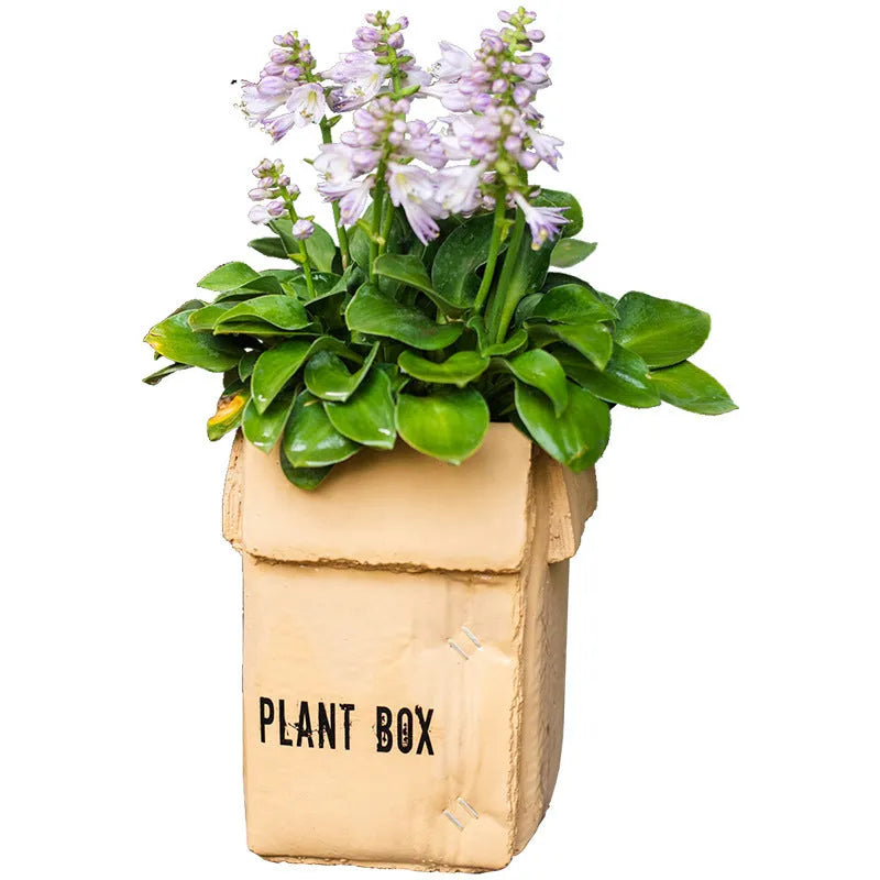 Cement flowerpot styled as a brown paper box with drainage hole for indoor balcony gardening