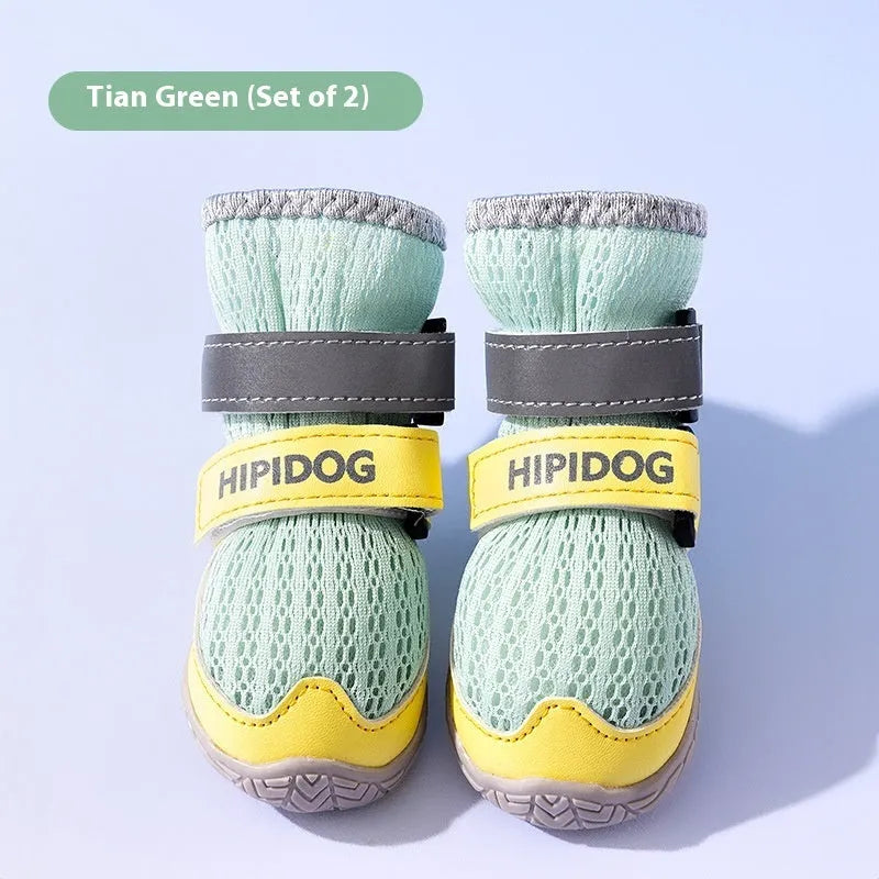 Cartoon style dog shoes in Bondi blue colour with breathable PU construction