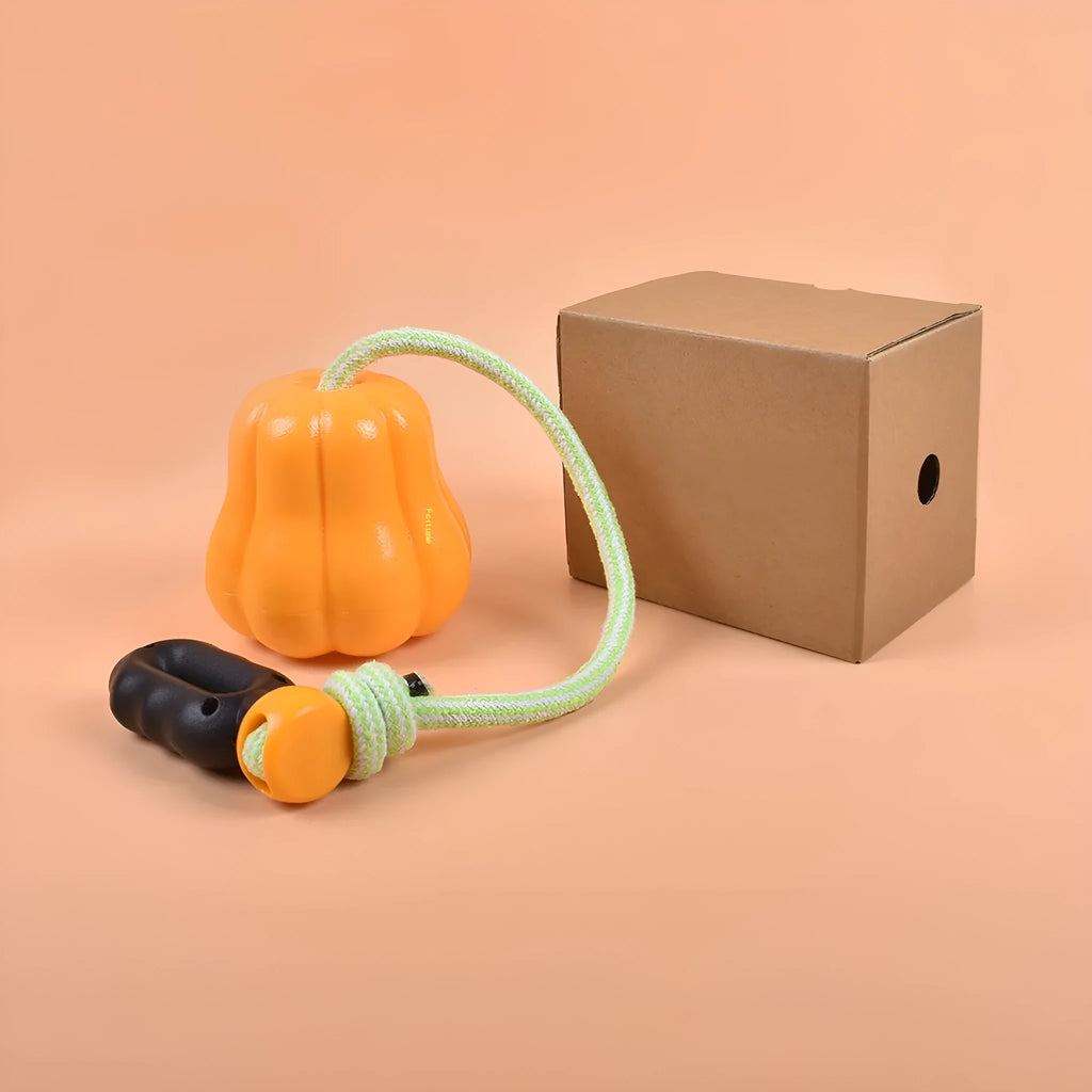 Pumpkin orange plastic molar-shaped dog chew toy with a blue rope attached for throwing.