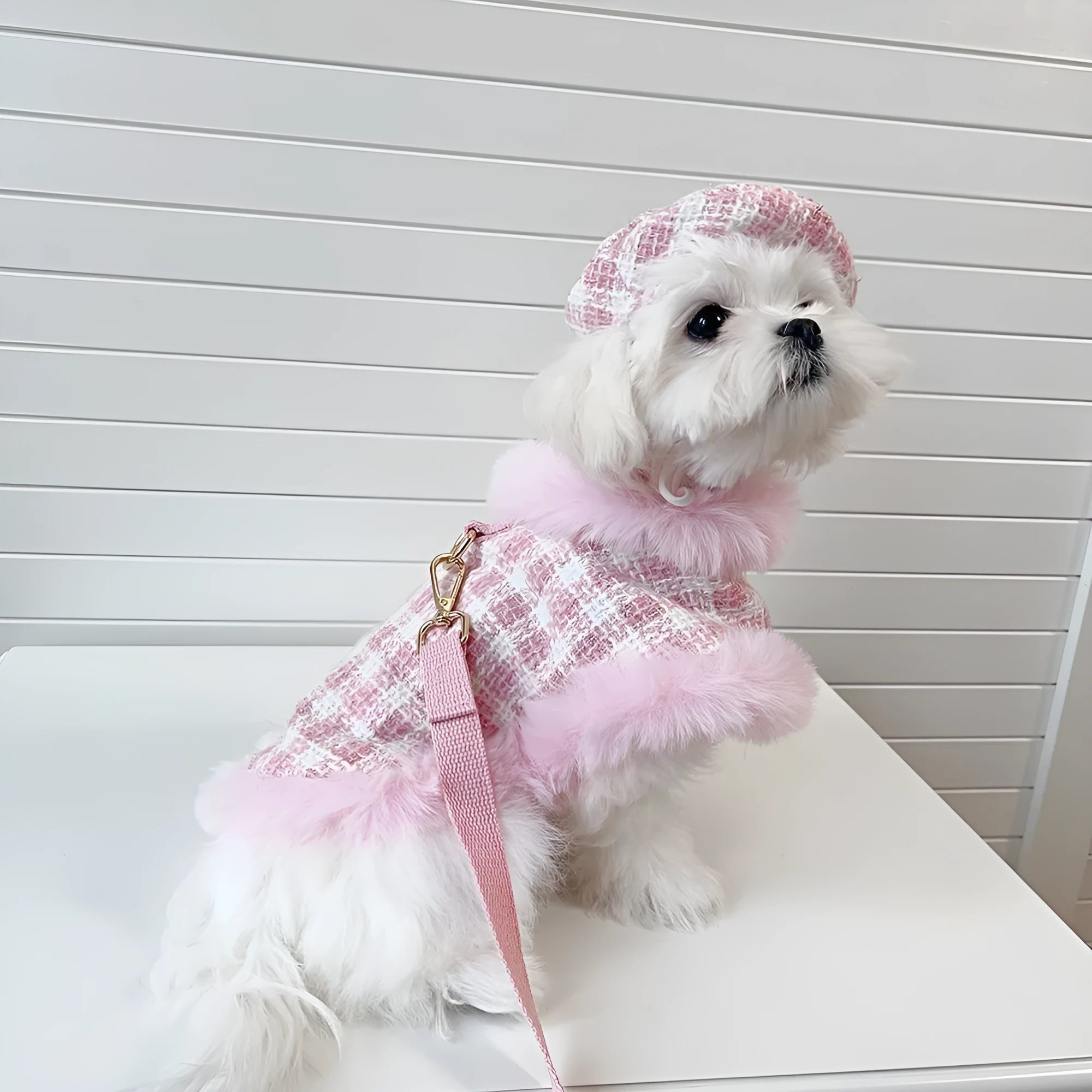 Pink polyester cat cape and beret set with hand-holding rope leash attachment