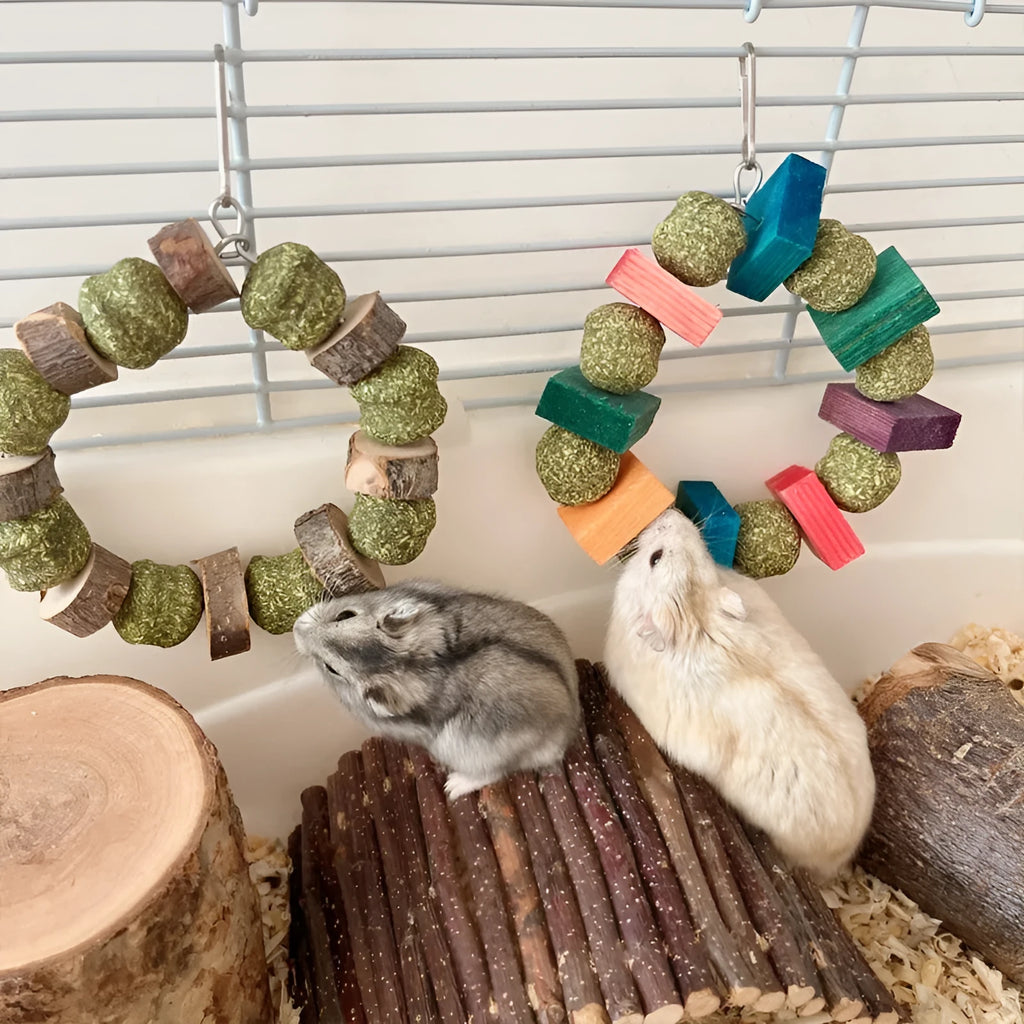 Applewood and straw ball ring chew toy for hamsters, guinea pigs, and rabbits on a white background.
