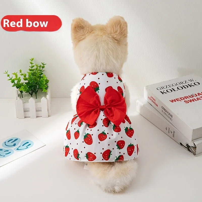 Orange bow floral butterfly pet dress with knot fastening on small dog