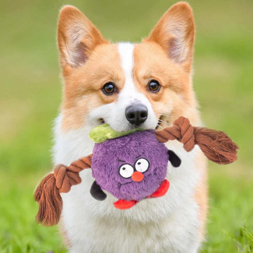 Green and purple plush rope knot dog toy with tug of war design for interactive play and dental care