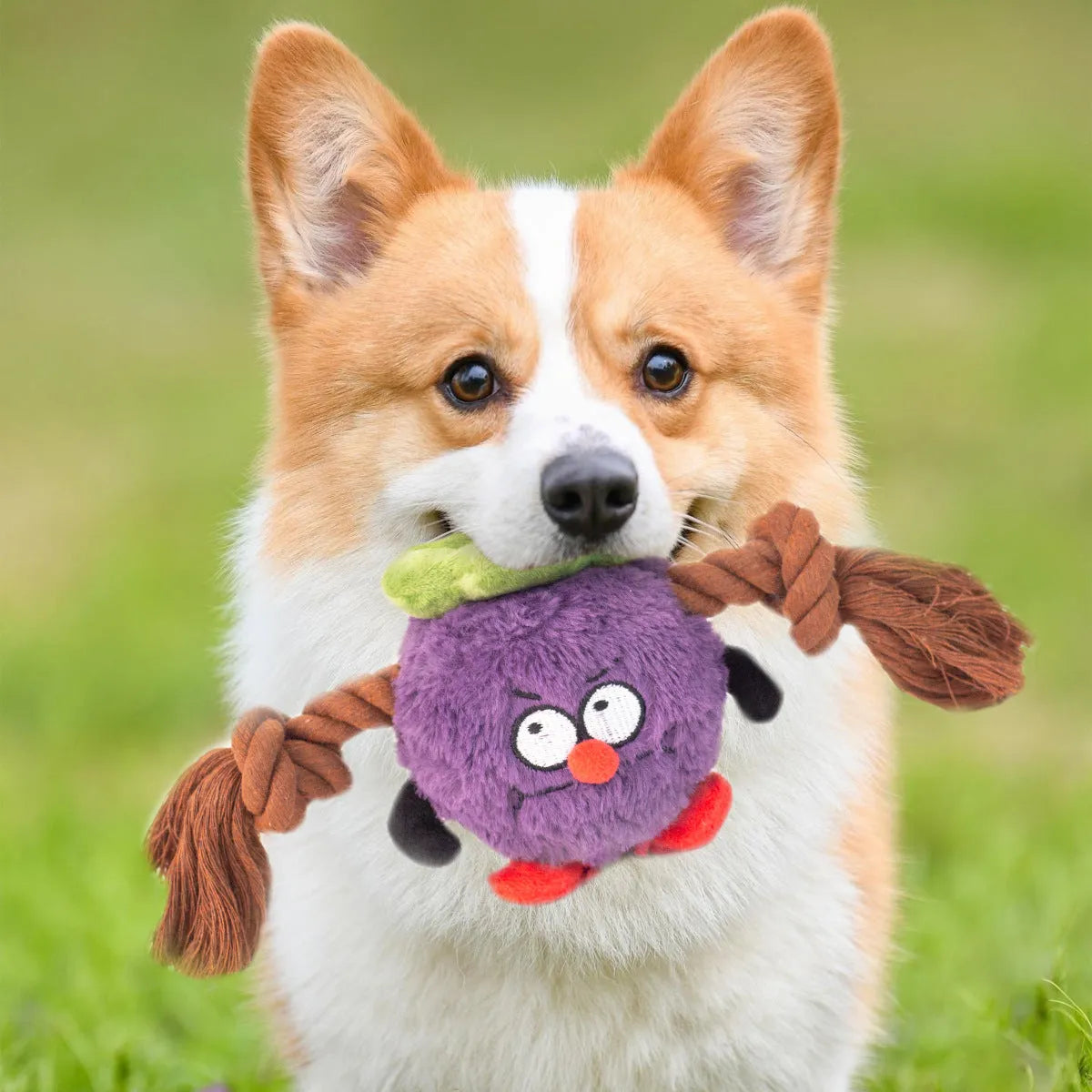 Green and purple plush rope knot dog toy with tug of war design for interactive play and dental care