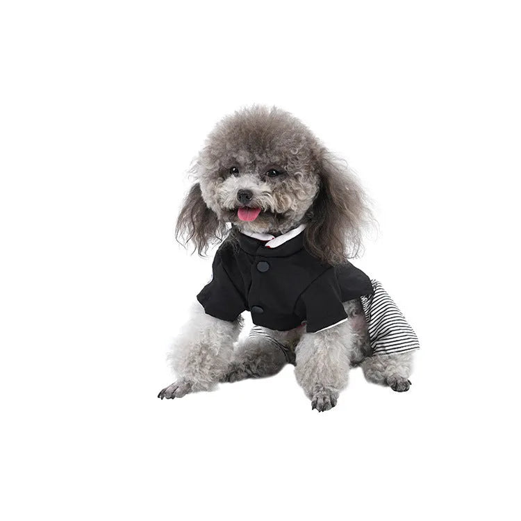 Cotton poodle clothes in four-foot pants or skirt style for small to extra-large dogs