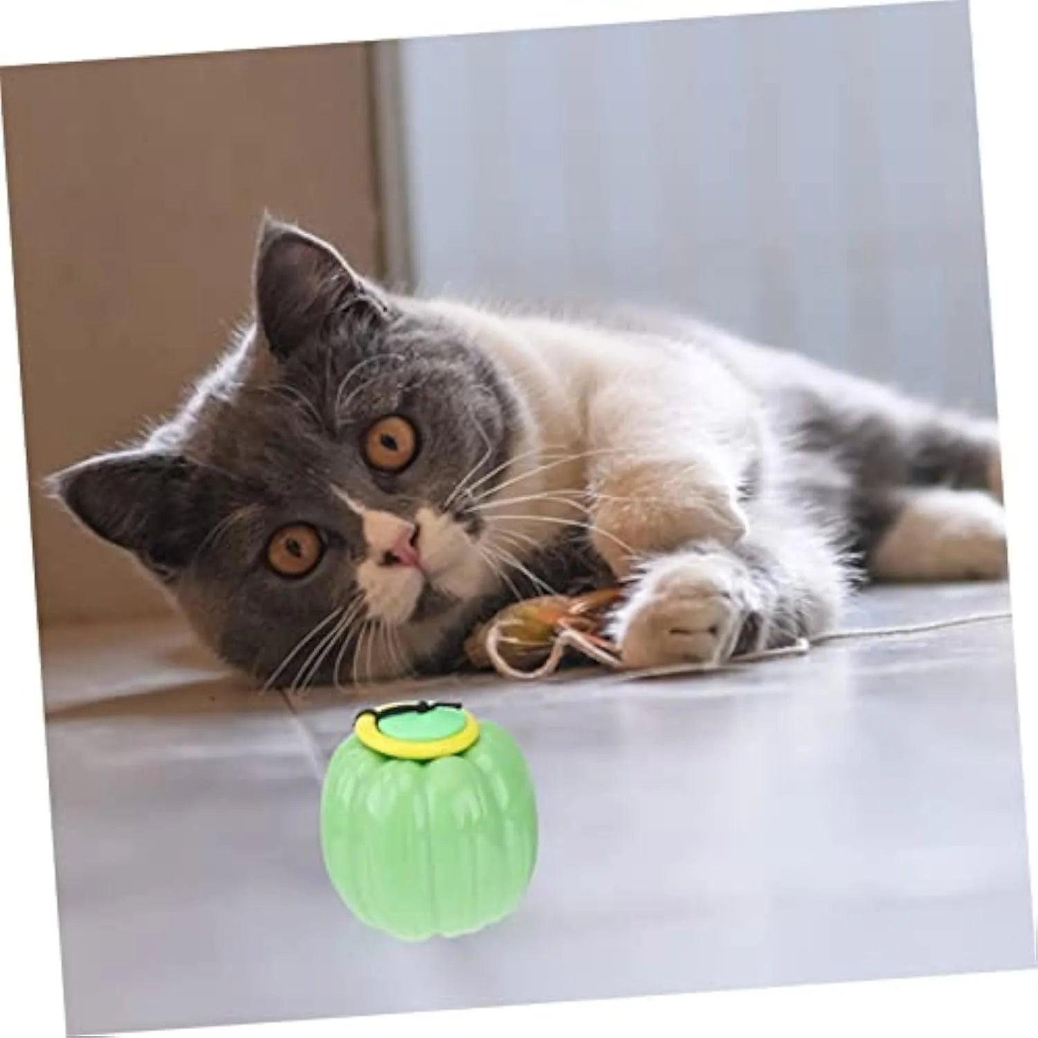 Plastic pumpkin-shaped dog ball with squeaker in green, orange and yellow for small dogs